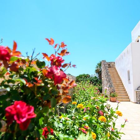 Villa Andromeda Amorgos Buitenkant foto